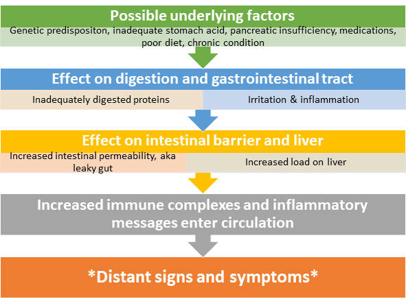 Chart - Cause and effects of food sensitivity